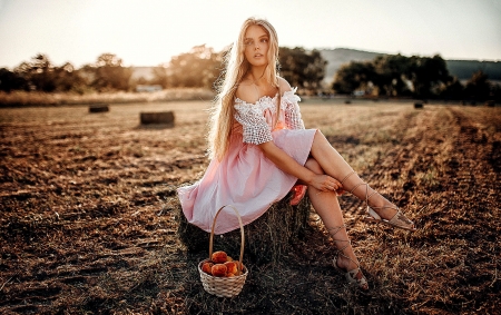 Peaches In A Basket . . - women, female, fashion, models, girls, basket, cowgirl, outdoors, blondes, hay, ranch, field, peaches