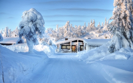 Cabin On The Mountain - nature, trees, mountain, snow, winter, cabin