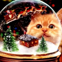 Kitten Snow Globe Christmas