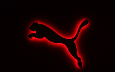 Puma - puma, black, cats, red