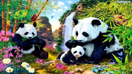 Panda Family - white, bears, puzzle, panda, family, black