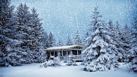 Snow House on the Forest - house, trees, winter, nature, landscape, snow