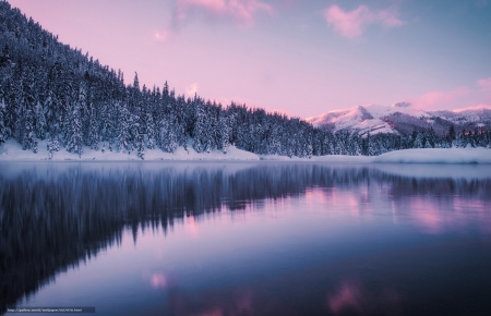 Gold Creek Pond,Washington - winter, nature, pond, lake, forest, mountains