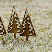 Gingerbread Trees