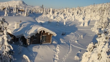 Snow Covered The Houses - house, trees, winter, nature, snow, sky