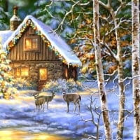 Christmas in a Cabin