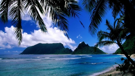 Beach Paradise - nature, sky, ocean, beach, trees, clouds, palm, sea