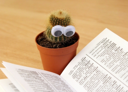 Reading Cactus - cactus, eyes, plant, reading, pot, book