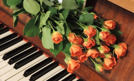 Music and bouquet - flowers, bouquet, roses, petals