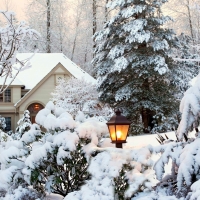 House Among the Snow Covered Trees