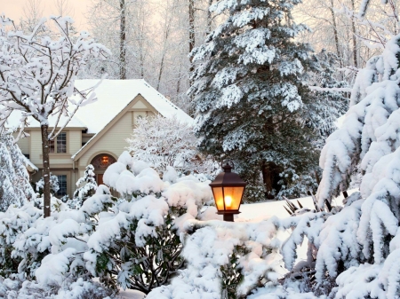 House Among the Snow Covered Trees - house, trees, winter, nature, lights, snow