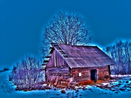 Winter House - Trees, Snow, Winter, Architecture, House