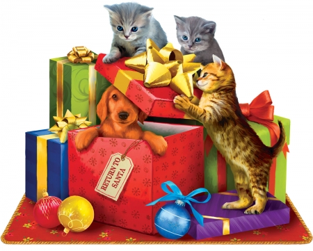 :D - yellow, dog, cat, christmas, pet, pisica, animal, craciun, kitten, funny, red, caine, box, puppy, gift