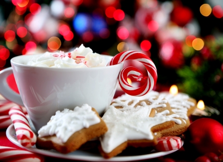 Hot Chocolate And Gingerbread Cookies - gingerbread, chocolate, hot, cookies