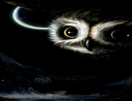 Owls In Flight - yellow, eyes, ows, flight, three owls, black