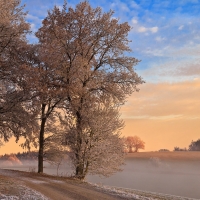 Colors of Winter