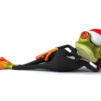 Santa frog