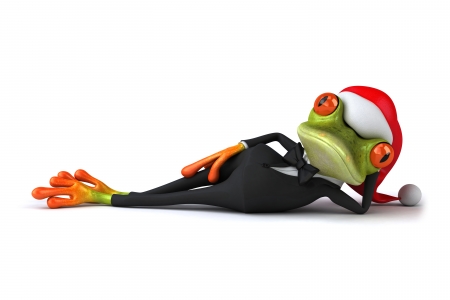 Santa frog - creative, orange, christmas, black, fantasy, white, costume, craciun, red, green, borasca, frog