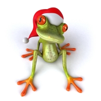 Santa frog