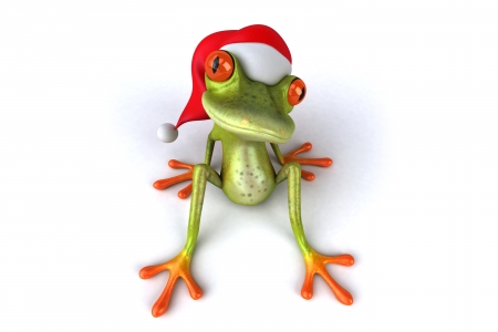 Santa frog - hat, creative, orange, christmas, santa, fantasy, craciun, funny, red, green, frog