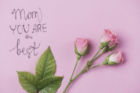 Happy Mother's Day! - word, pink, day, mother, green, card, rose, flower