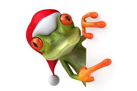 Santa frog - hat, creative, orange, santa, fantasy, red, green, broasca, frog