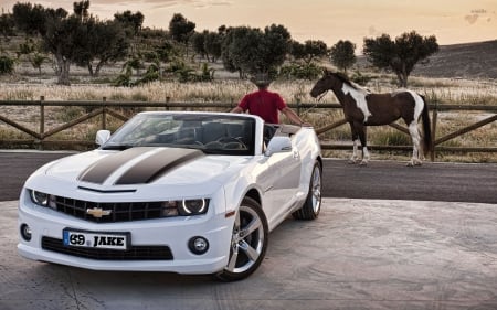 Ranch Special . . - horse, chevrolet, camaro, cowboy, corral, ranch