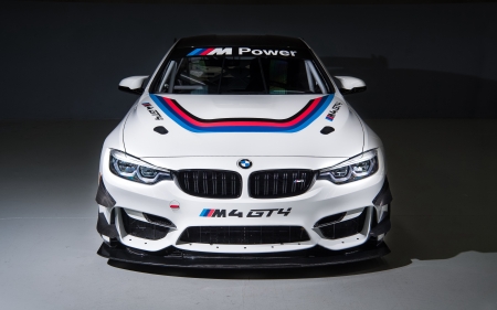 2018 BMW GT4 - 2018, cars, gt4, bmw