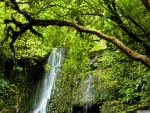 Matai Falls,New Zealand