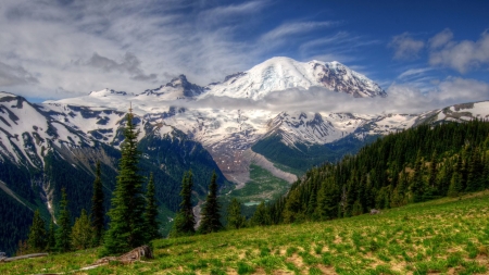 MT Rainier,Washington - nature, landscape, trees, mountain, clouds, snow, grass