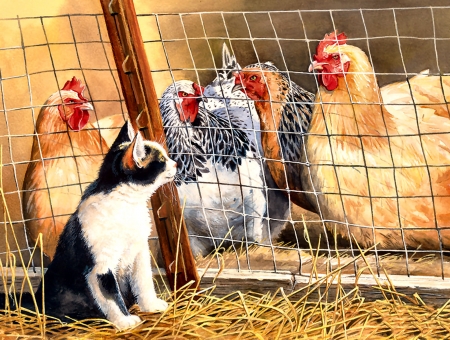 Visit With the Hens F - farm animals, chickens, pets, artwork, beautiful, wide screen, illustration, animal, painting, feline, cats, art