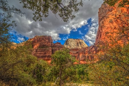 Zion National Park,USA - nature, trees, forest, clouds, park, mountains, zion