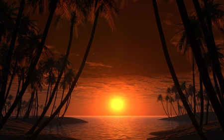 Sunset - silhouette, palm tree, sun, sunset, summer, black, luminos, orange, sea