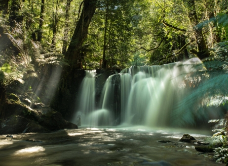 forest waterfall - fun, nature, waterfall, forest, cool