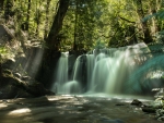 forest waterfall