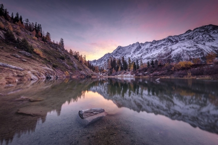 Swiss Alps - fun, nature, lake, forest, cool, mountain