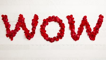 WOW - white, red, valentine, card, petals