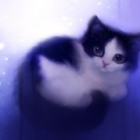 Cute kitty