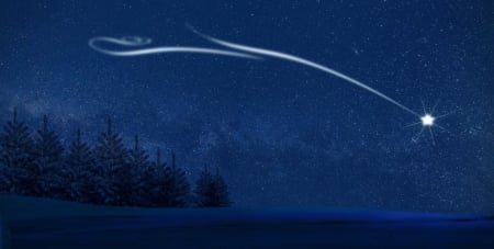 CHRISTMAS STAR - sky, winter, star, trees, night, blue, christmas, snow