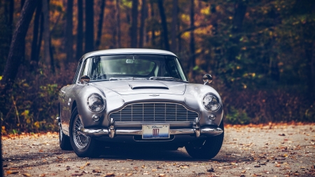 aston martin db5 - martin, forest, aston, car, grass