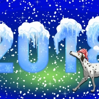 NEW YEAR 2018