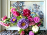 PRETTY ASTERS