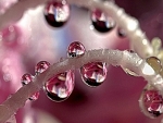 WATER DROPLETS