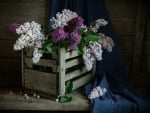 LILACS IN A CRATE