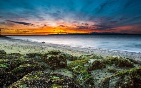 Beach Sunset - cool, fun, beach, sunset, ocean, nature