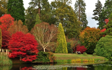 Sheffield Park Garden - fun, nature, trees, cool, forest, sheffield park garden