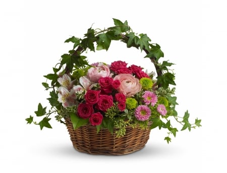 Flowers - flower, pink, basket, ivy, white, red, green, rose, card