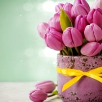 Pink Tulips with Vases