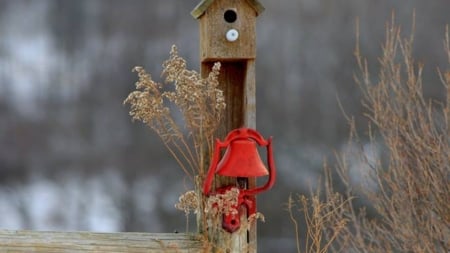 my house - nature, fence, field, birdhouse