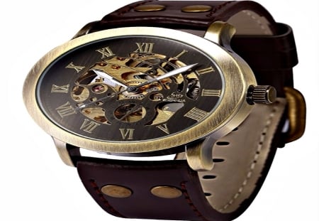 Steampunk Watch